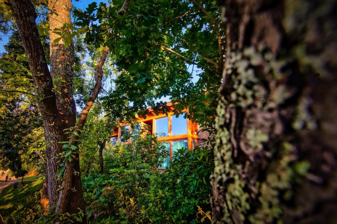 Hotel Rinoterra Minho Caminha Zewnętrze zdjęcie